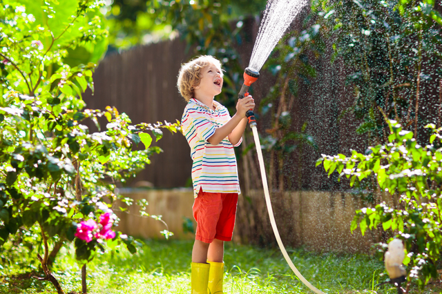 Weniger Gießen, mehr Nachhaltigkeit: Tipps für den Garten