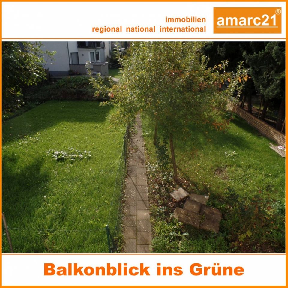 Blick in den Garten