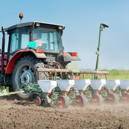 11,5 ha Ackerland zwischen Kelbra und Sittendorf