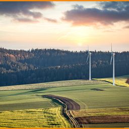 33 ha Hof mit Windkraft