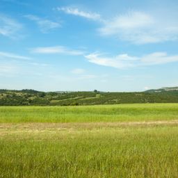 2,4 ha Grünland nahe an Schrobenhausen