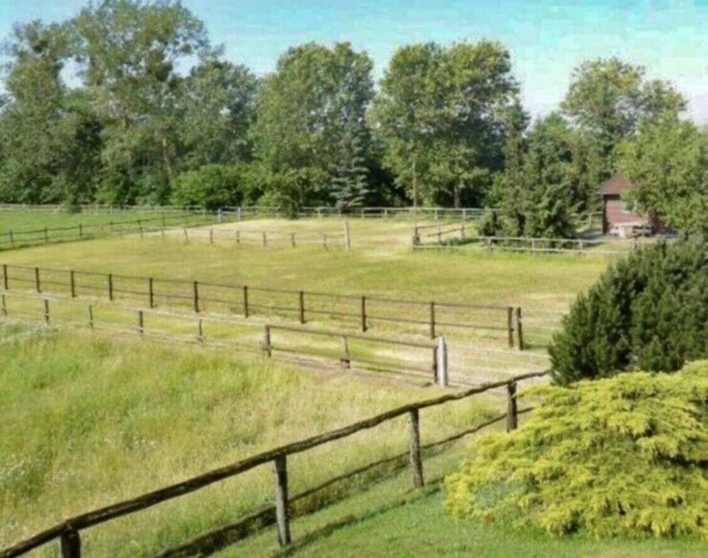 Blick auf Weide und Paddock