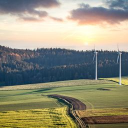 7,4 ha Ackerland bei Mainburg zu verkaufen