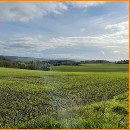 35 ha Hof mit ein bis zwei möglichen Windrädern