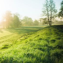 ca. 25 ha arrondiertes Acker und Grünland zu verkaufen