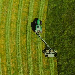 2,6 ha Grünland nahe Falkenfels (Straubing Bogen) zu verkaufen