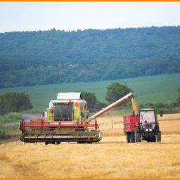 15 ha Ackerland in der Uckermark