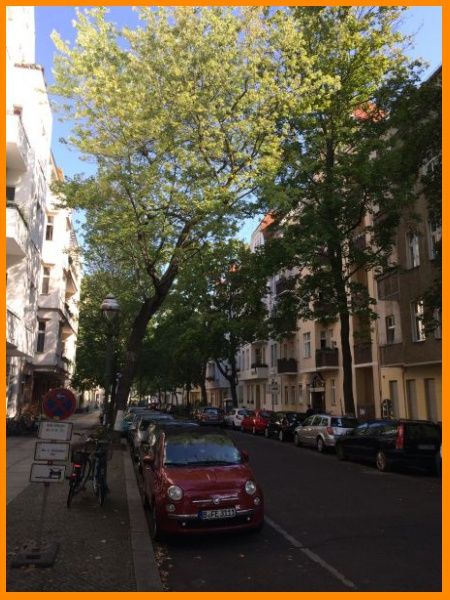 Blick Gieselerstrasse Sommer