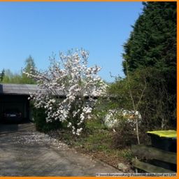 Massener Heide – Zwei Bungalows auf großem Grundstück