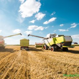 10,7 ha Ackerland bei Kröpelin
zu verkaufen