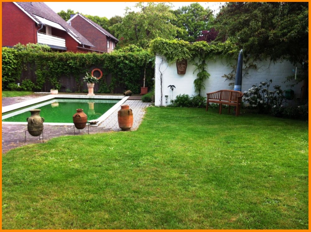 Garten mit Pool