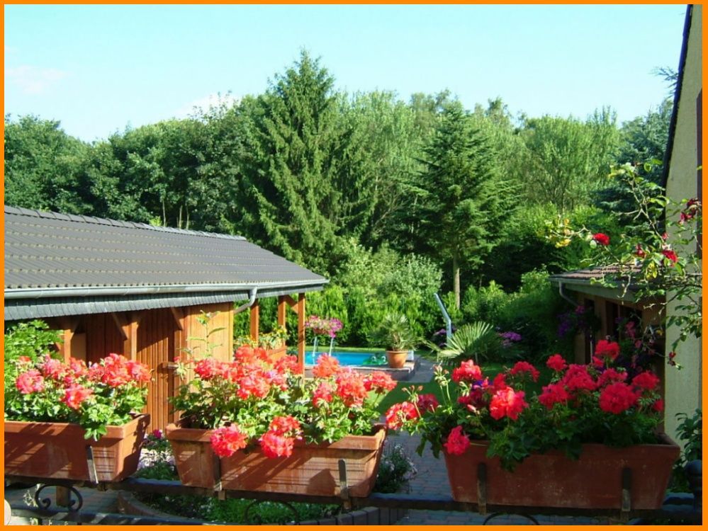 Sommergarten altes Carportdach.png