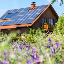 Bundesweite Solarpflicht in Deutschland