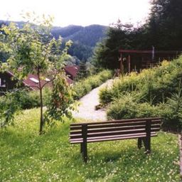 Ein Ferienhaus im Harz