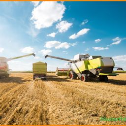 Landwirtschaftlicher Großbetrieb
in Sachsen  zu verkaufen

– Gemischtbetrieb mit rund 1900 ha –