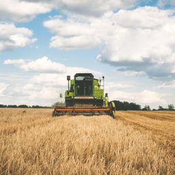 20,8 ha gutes, arrondiertes Ackerland zu verkaufen