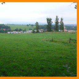 ***Wasser,Wald und Wiesen***
Reiterhof mit 33 Ha Land!!!