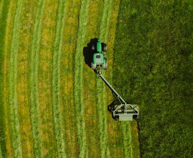 2,6 ha Grünland nahe Falkenfels (Straubing Bogen) zu verkaufen