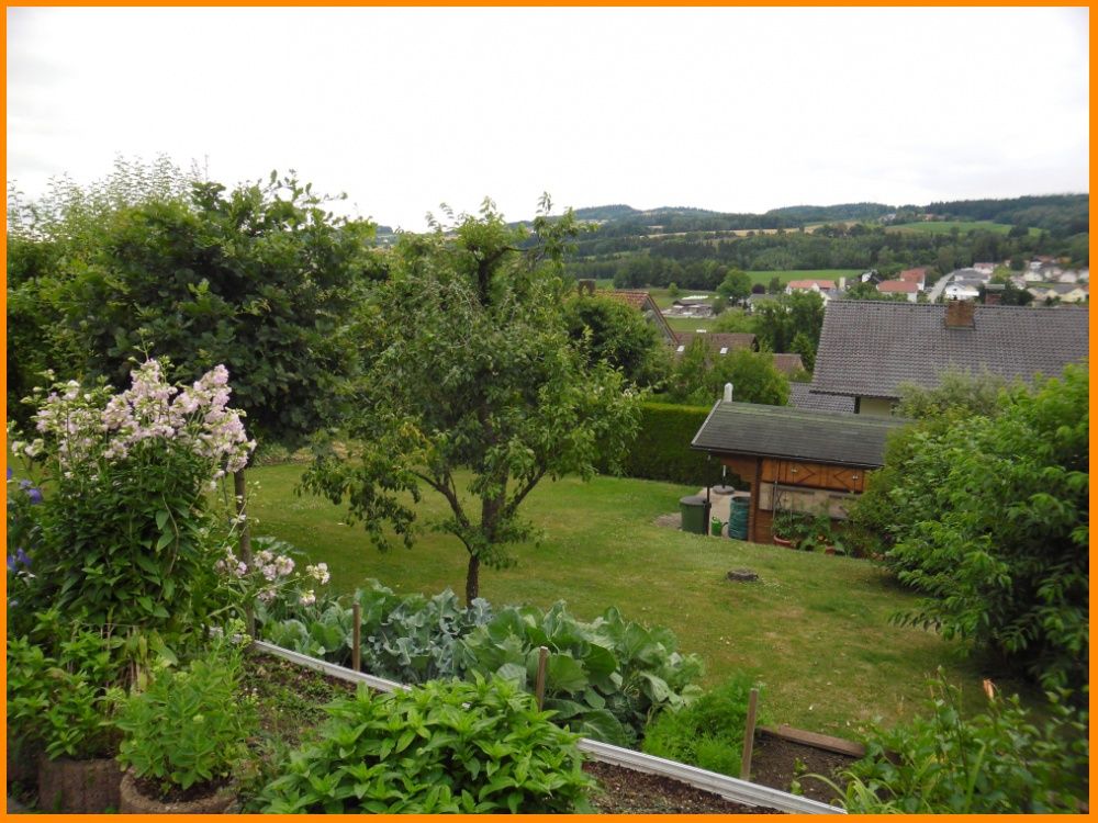 Ihr Garten mit Holzhaus