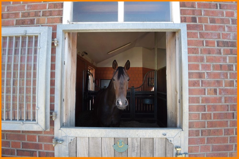 Reitpension mit Halle