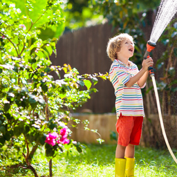 Weniger Gießen, mehr Nachhaltigkeit: Tipps für den Garten