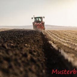 4,7 ha Ackerland bei Kuchelmiß
zu verkaufen